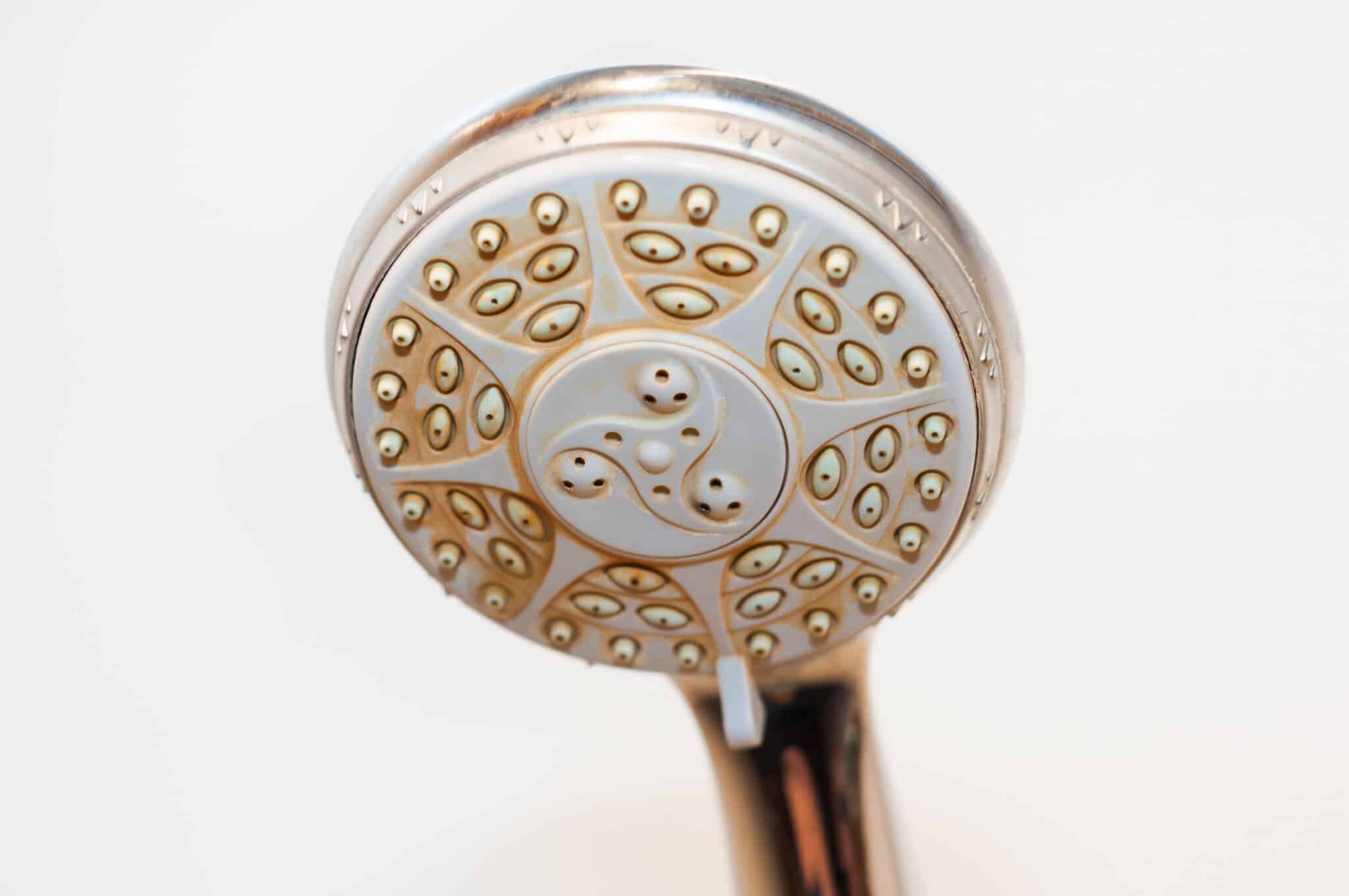 shower head hard water.