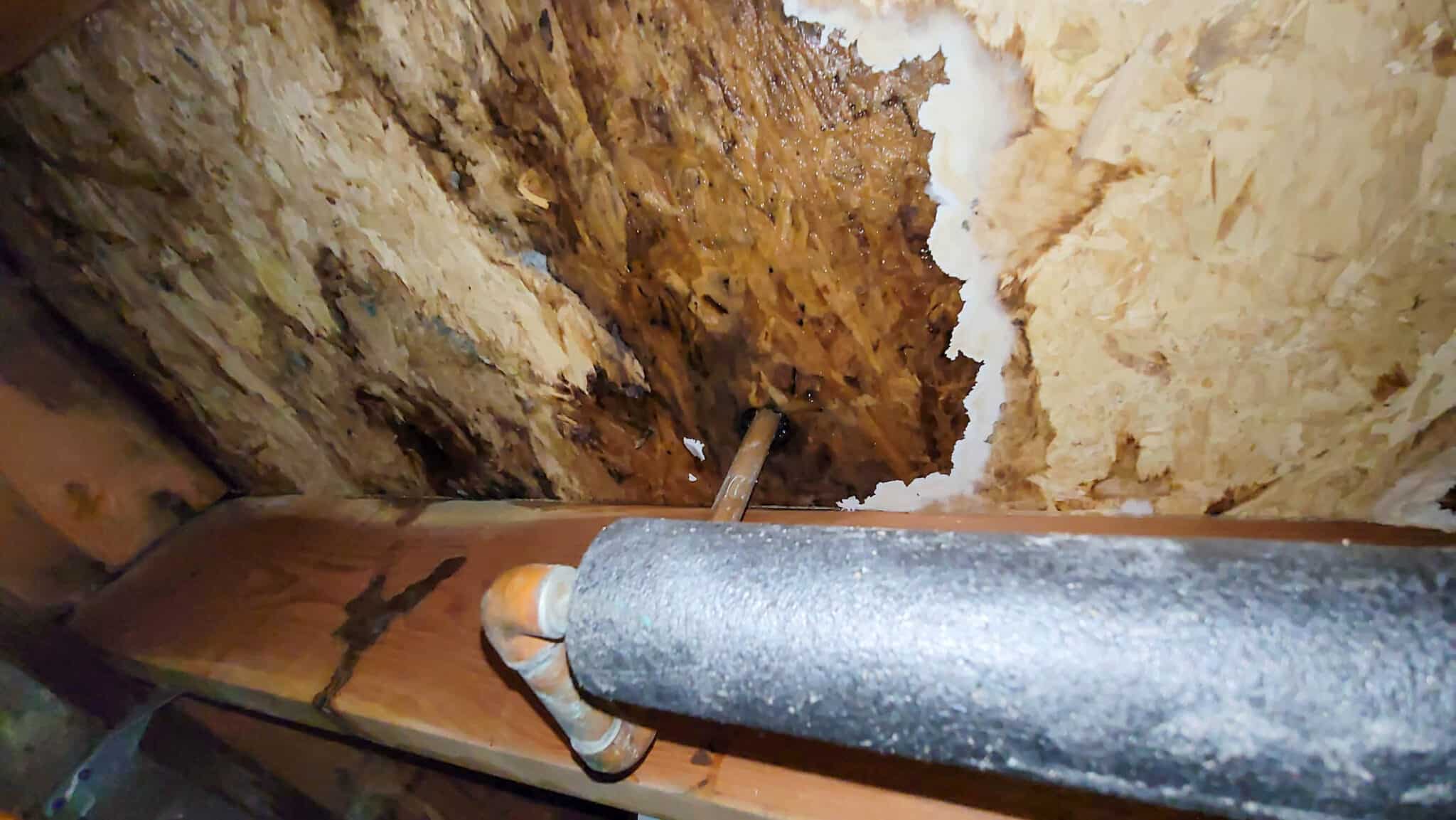 Pipe Leak Detection at basement.