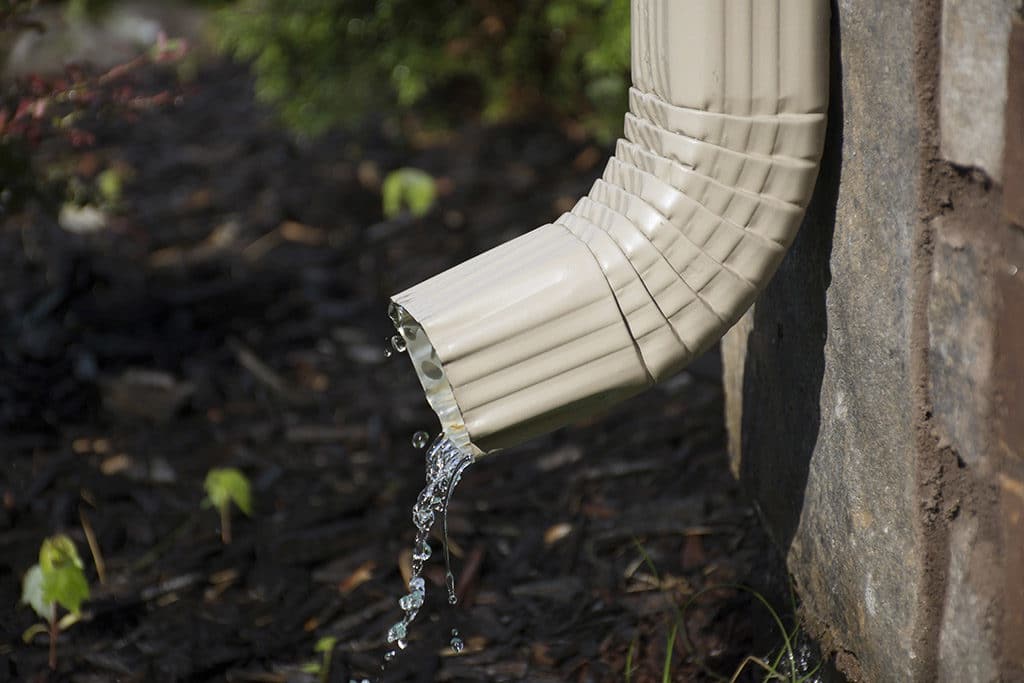 Common Signs of Dysfunctional Residential Drainage Systems | Drain Cleaning in Littler River, SC