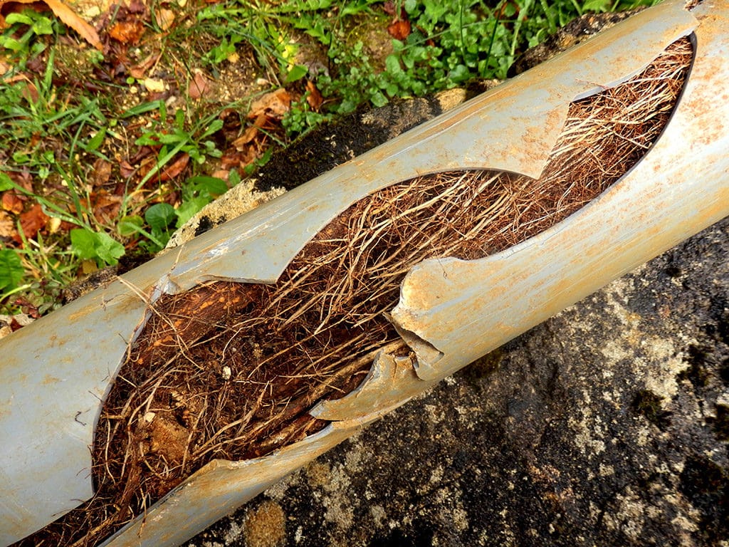 7 Major Signs That Indicate You Need to Replace Your Water Line | Water Line Repair in North Myrtle Beach, SC