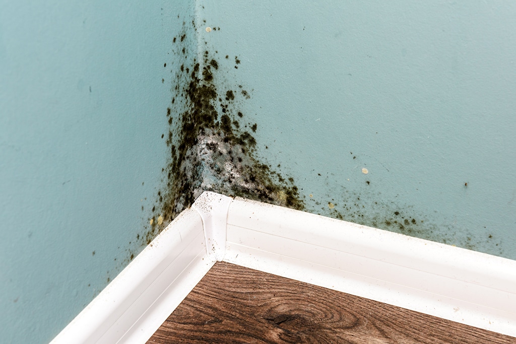 Plumber Tips: Do I Have A Leak And What Could Have Caused It? | Myrtle Beach, SC