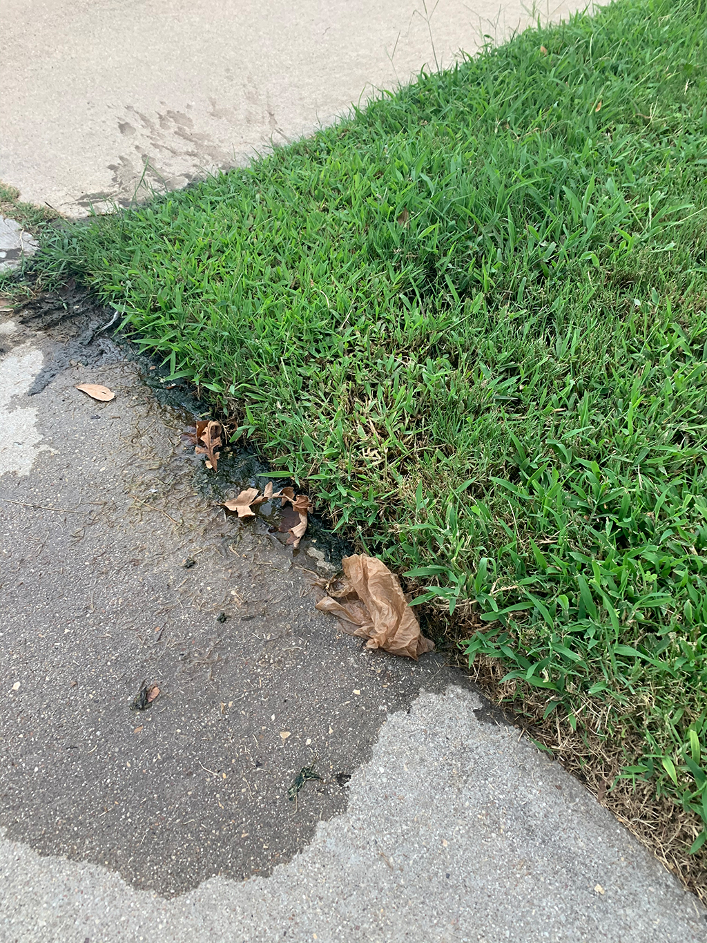 My, How Nicely That Strip Of Grass Is Growing! And Other Signs That You May Need Water Line Repair | Conway, SC