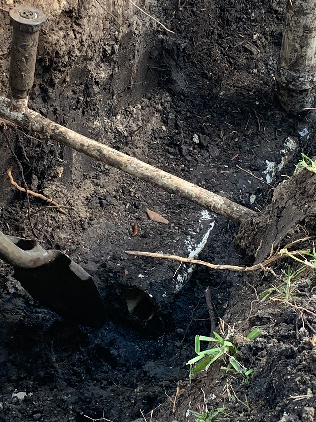 How Does My Plumbing Service Recommend Protection Against Tree Root Invasion? | Conway, SC