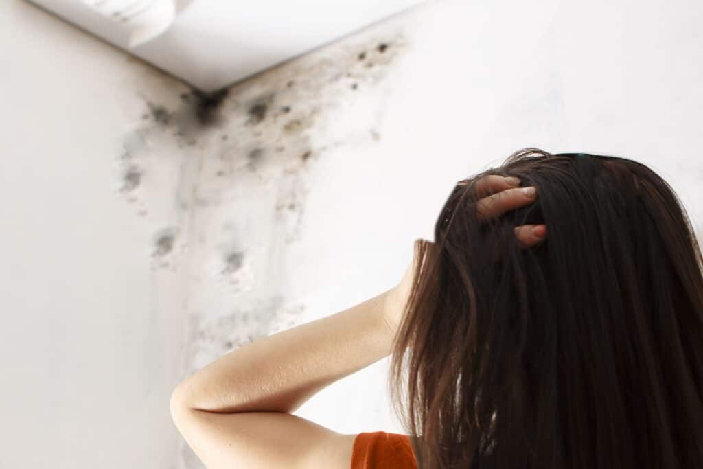 How high humidity cycles lead to hidden mold behind plumbing walls